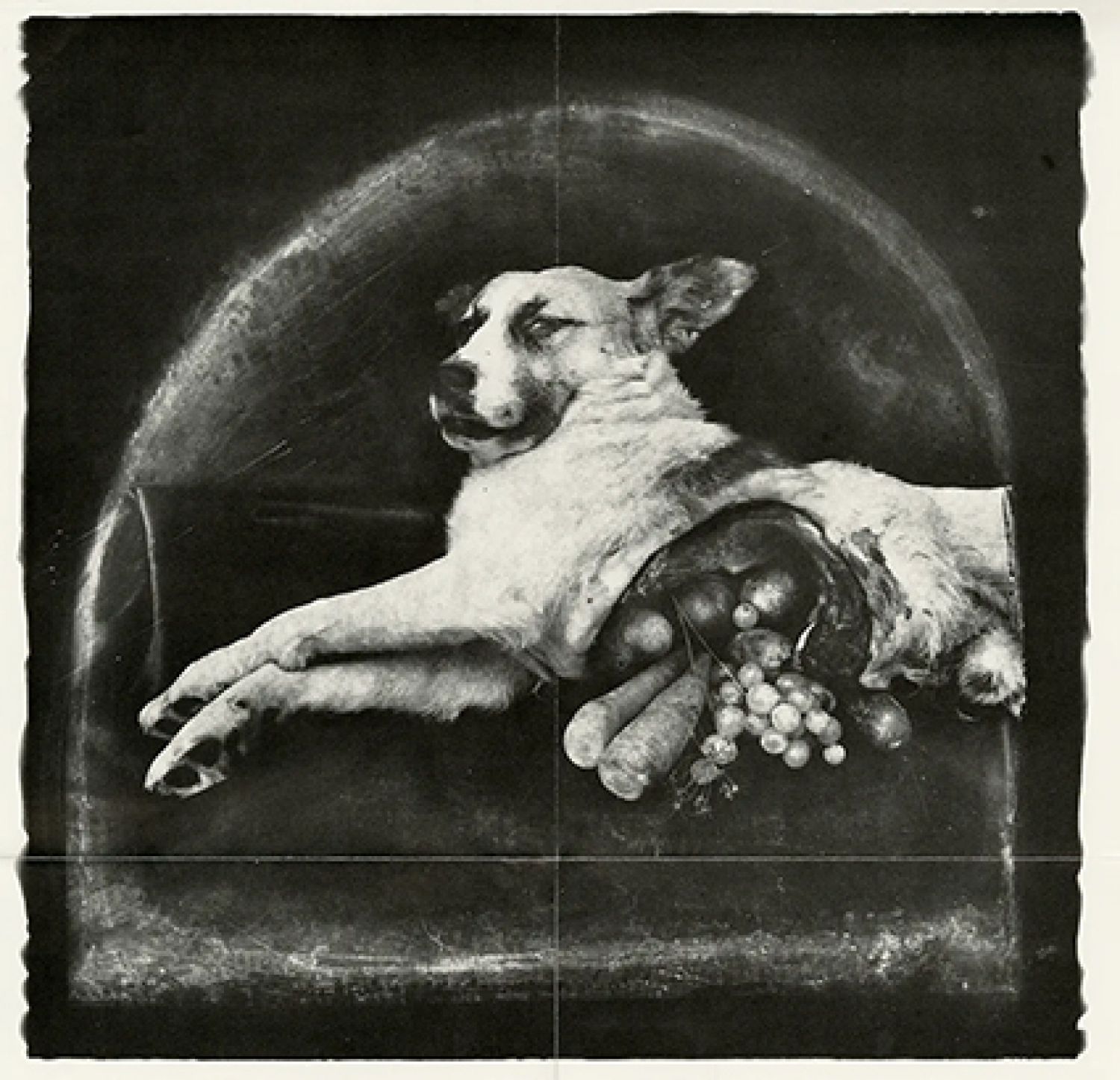 Joel-Peter Witkin, «The Result of War - Cornucopian Dog», 1984