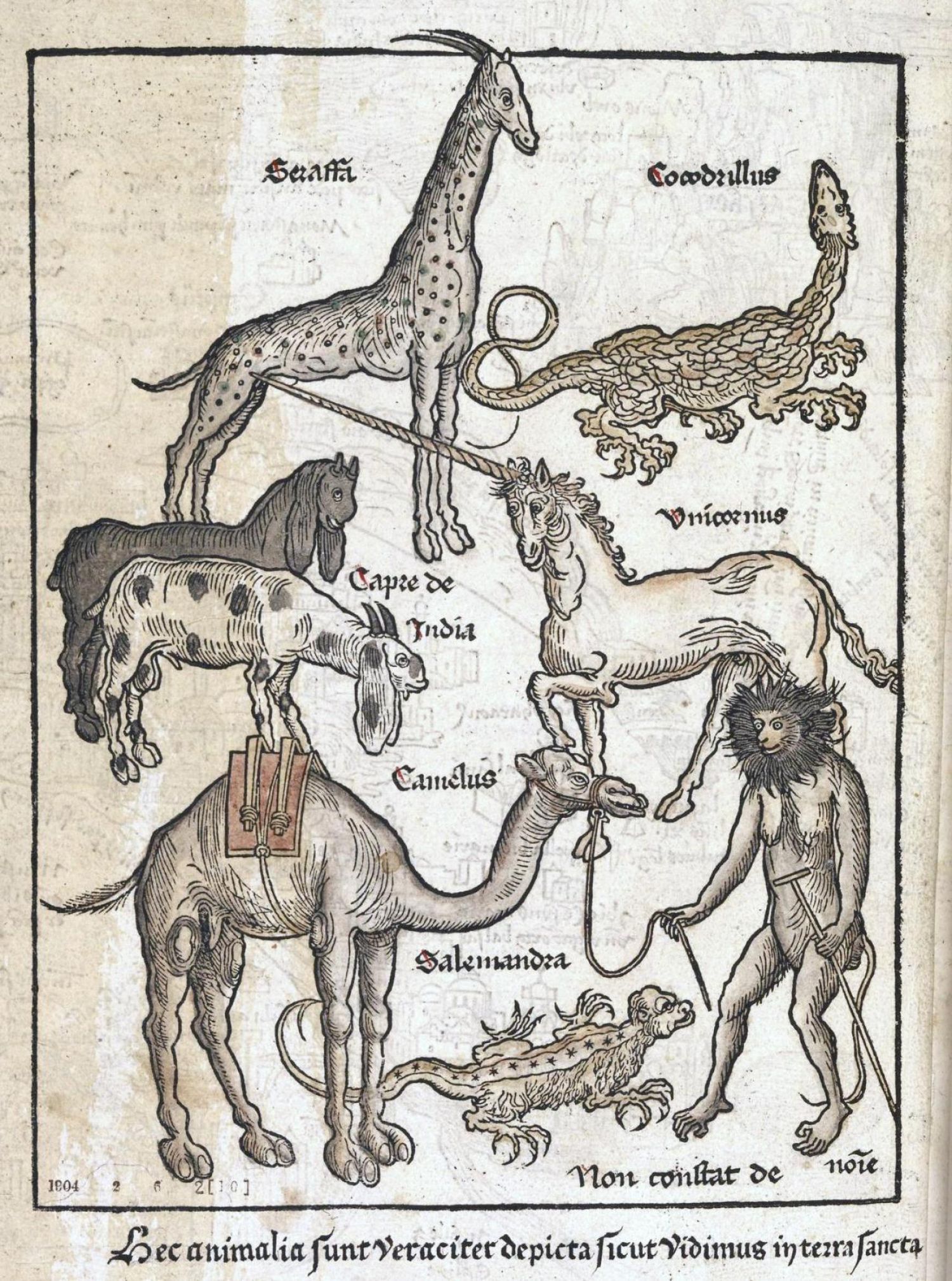 «Animals in the Holy Land, including a crocodile, a camel, a giraffe and a salamander», in Bernhard von Breydenbach, «Peregrinationes in Terram Sanctam», with woodcuts by Erhard Reeuwich, Mainz, 1486