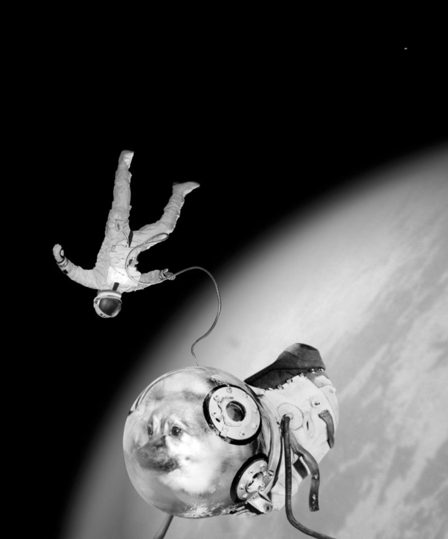 Joan Fontcuberta, «Ivan Istochnikov and Kloka on their historical E.V.A (extra vehicular activity)», 1997