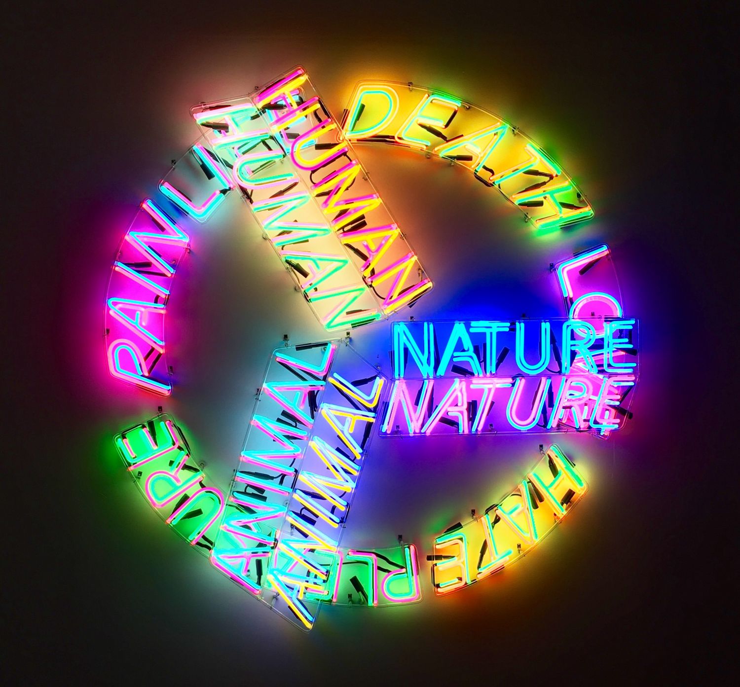 Bruce Nauman, «Neon Sculpture, Human Nature, Life Death», 1983