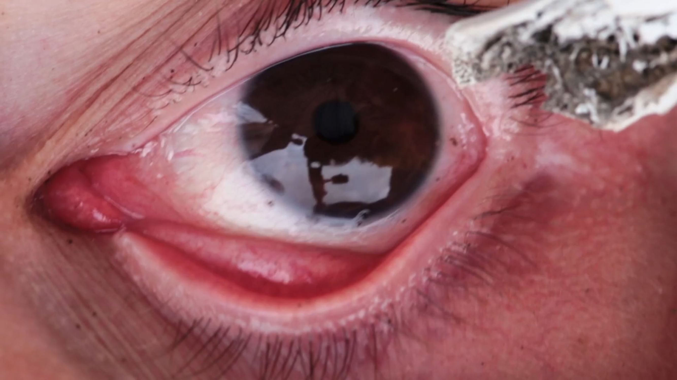 – Crystal Beings: Or, On Becoming a Fractal Mirror –